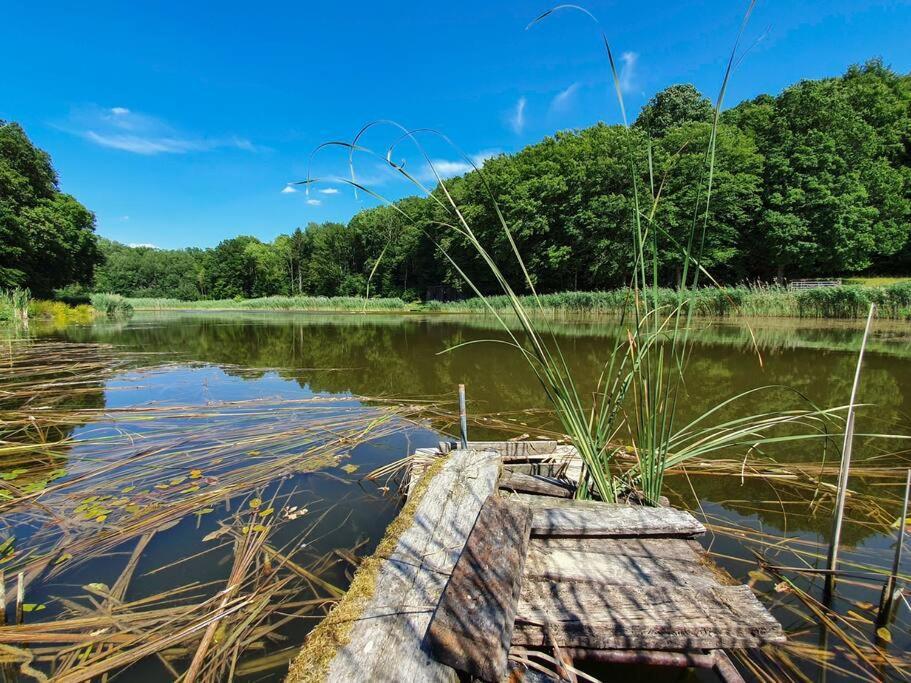 Gite De L'Etrier 3 * : Le Calme A La Campagne ! Aubercy Екстер'єр фото